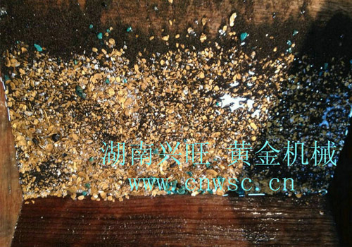 黄金丰收 2013 . 2